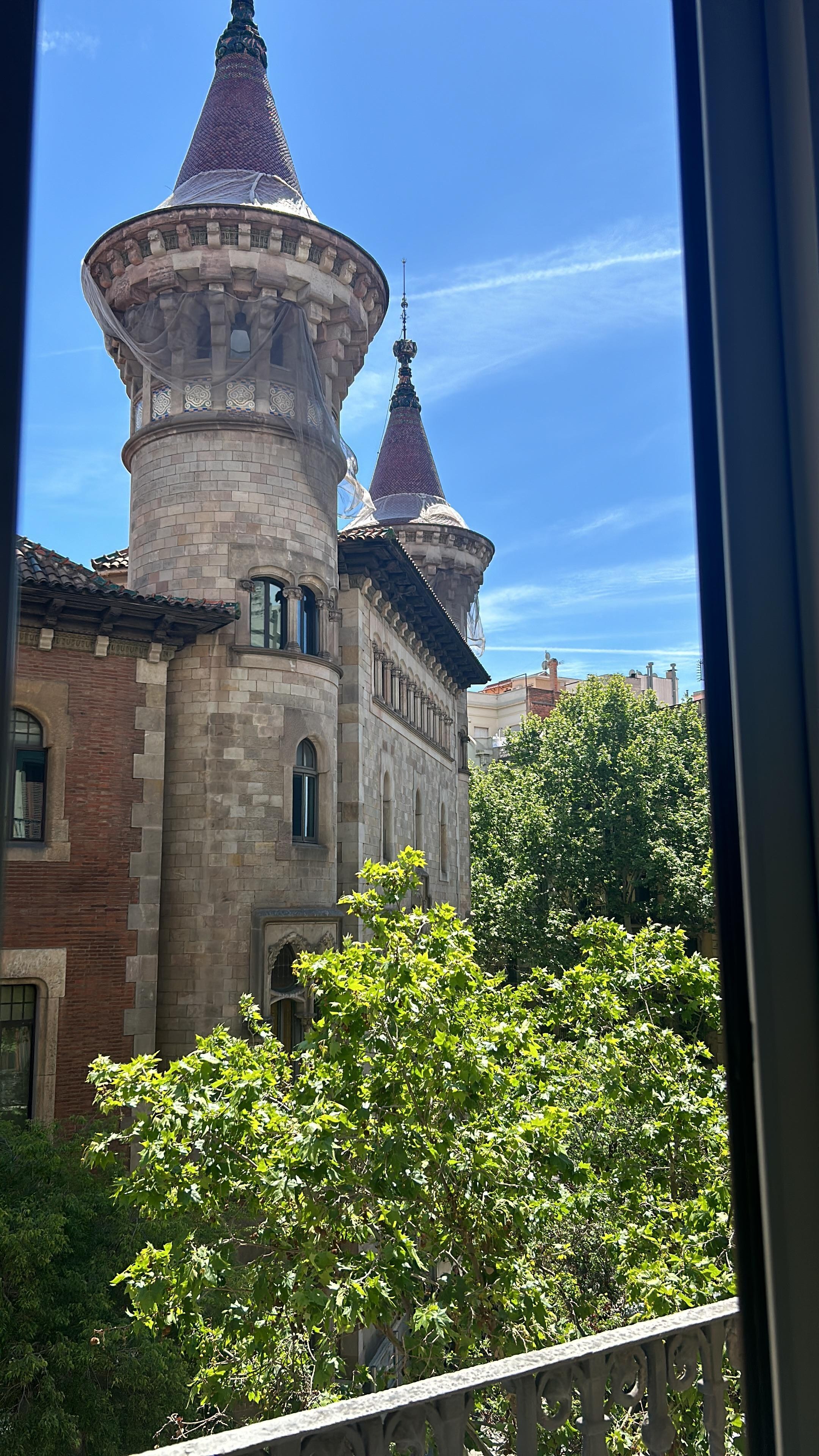 A room with a view!