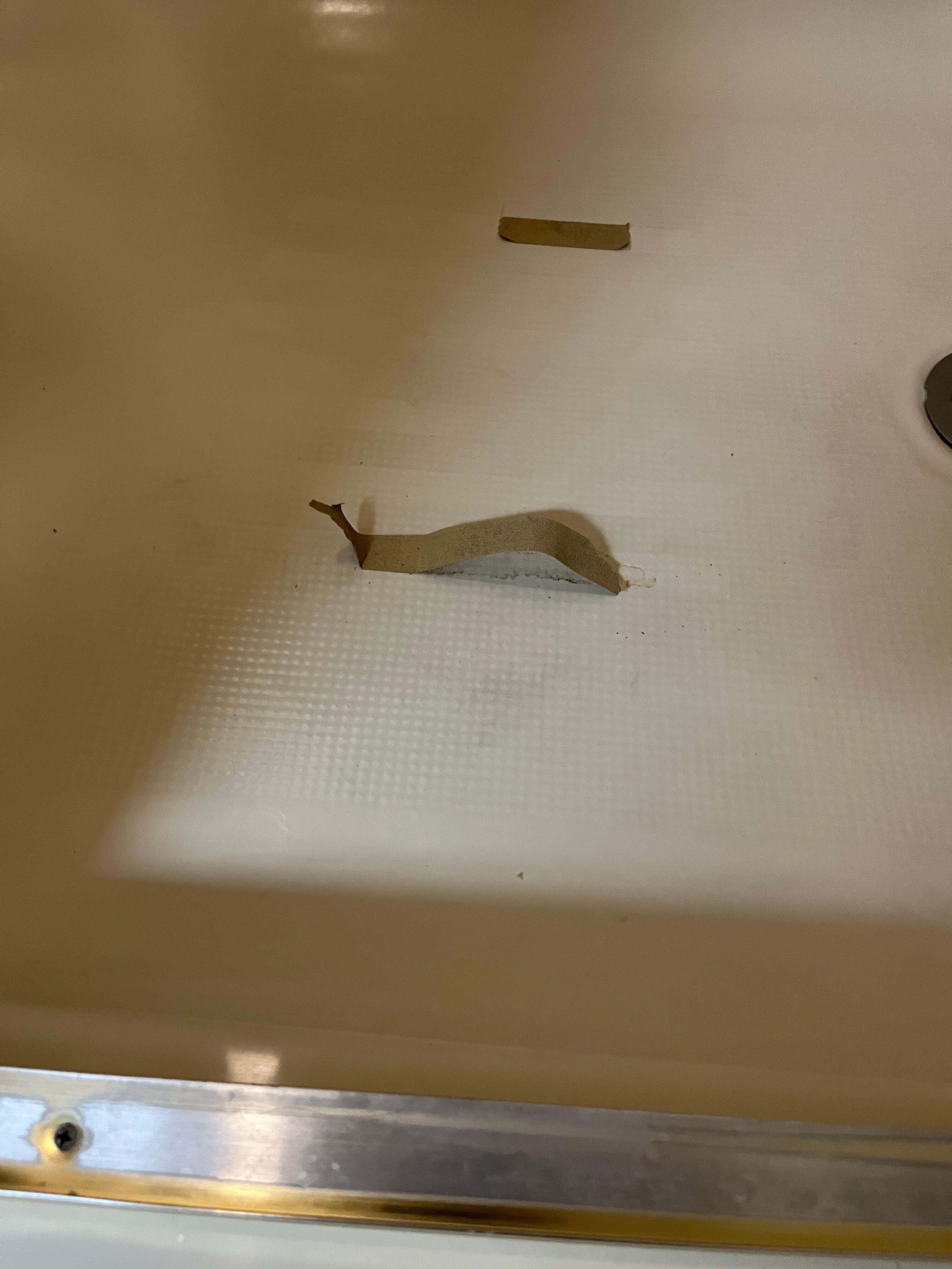 Shower floor