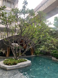 너무 분위기 좋은 수영장. 크지는 않지만 놀기 좋았어요. 다만 수온이 조금만 높으면 더 오래 재밌게 놀 수 있을 것 같아요 ㅎ