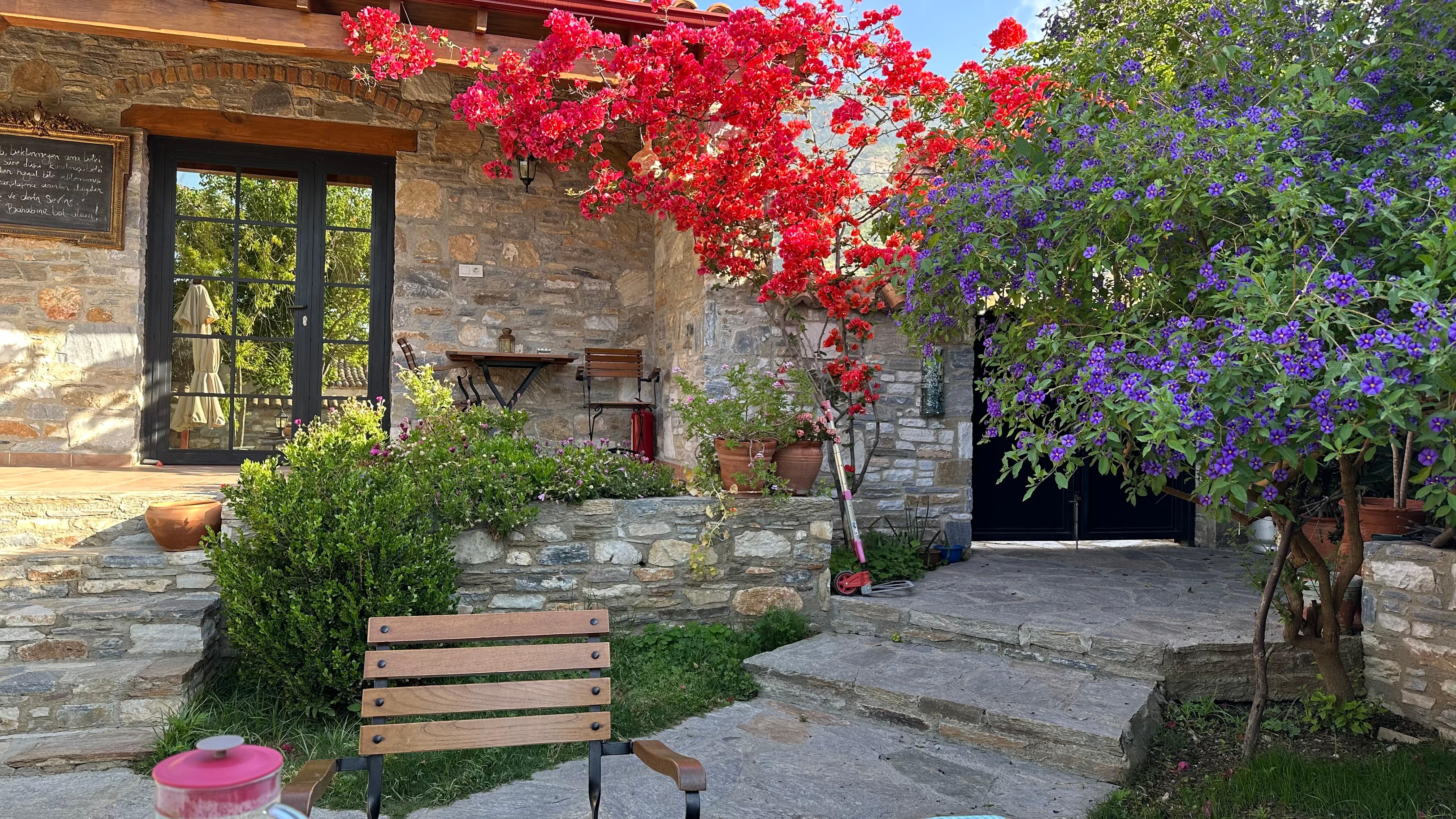 The courtyard