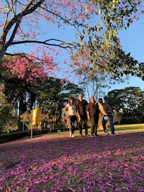 Hotel grande, muita área verde, quartos grandes e limpos! 3 piscinas abertas, academia boa, salão de jogos bom!
