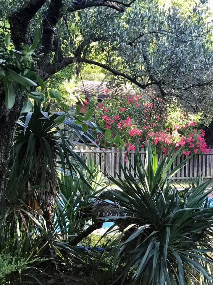 jardin magnifique et hotesse tres attentionnée

