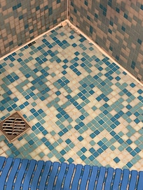 Black mold in the shower