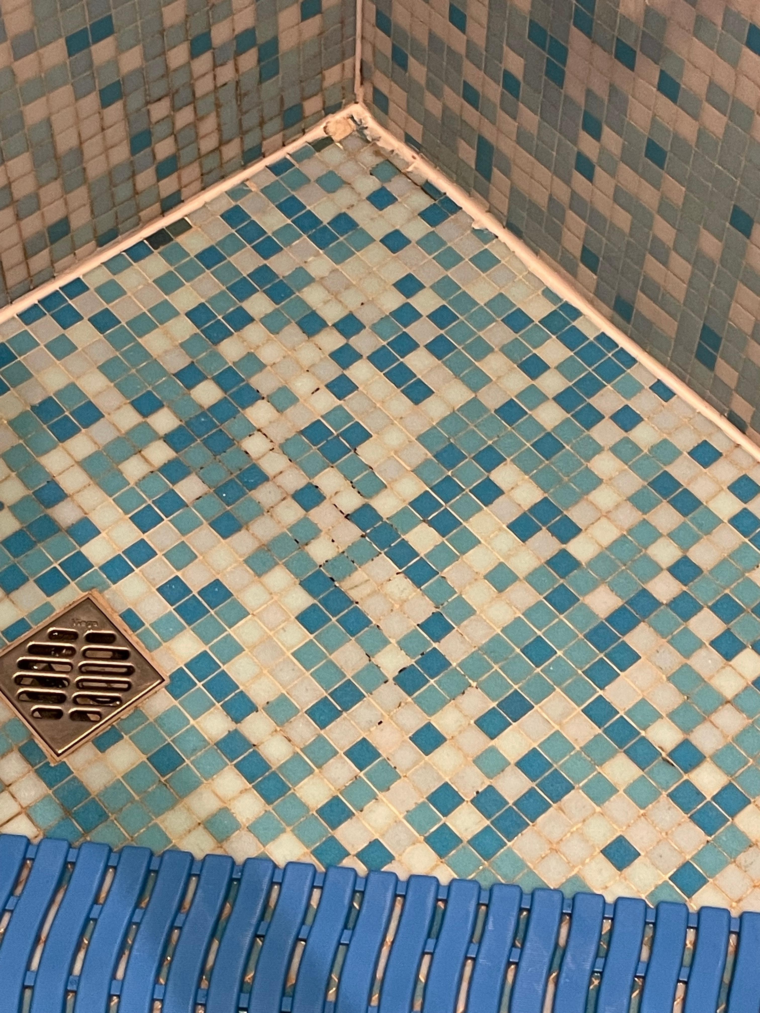 Black mold in the shower
