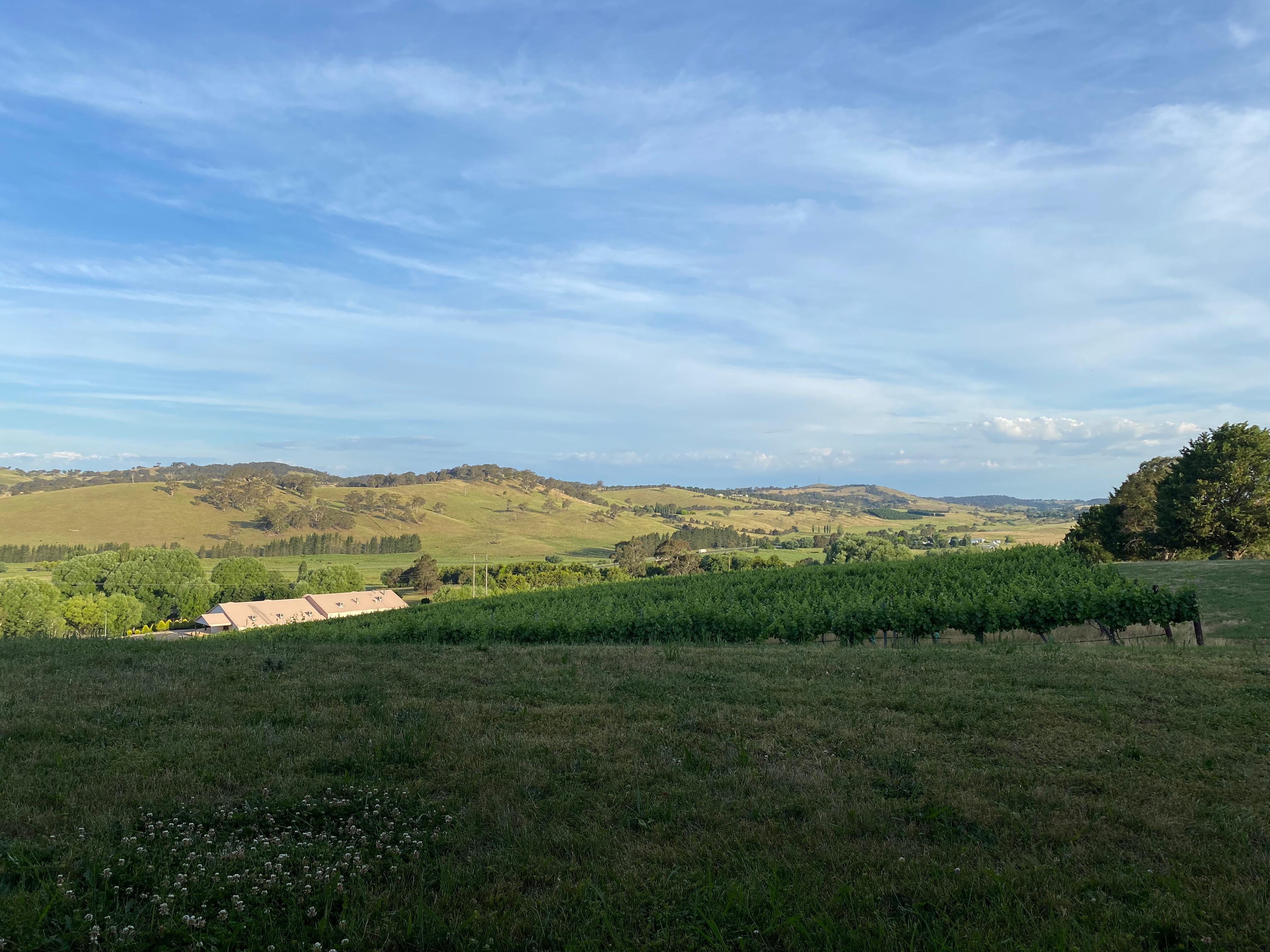 The beautiful view from our room and patio.