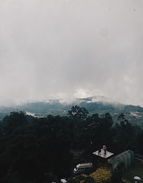 View from the room