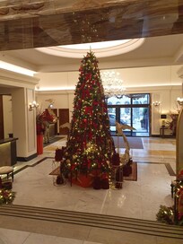 Christmas tree in the lobby