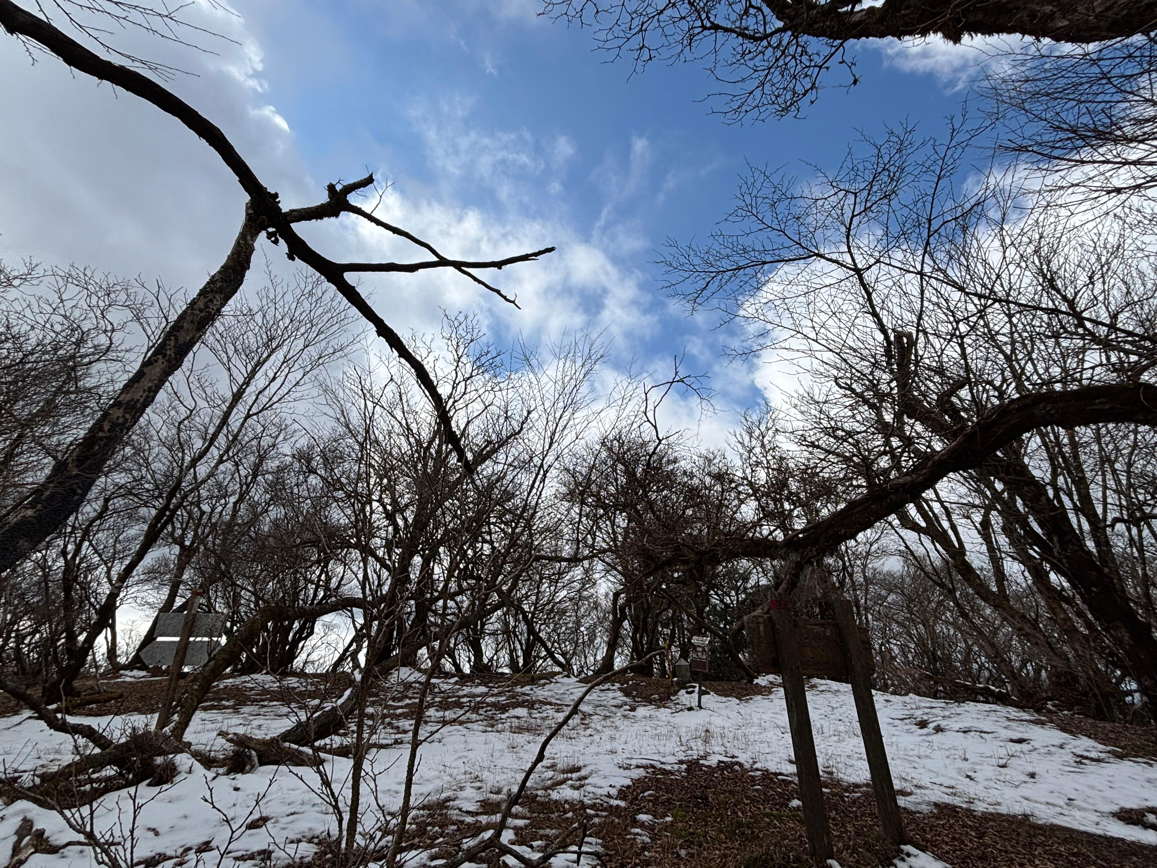 愛鷹山登山