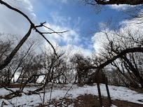 愛鷹山登山