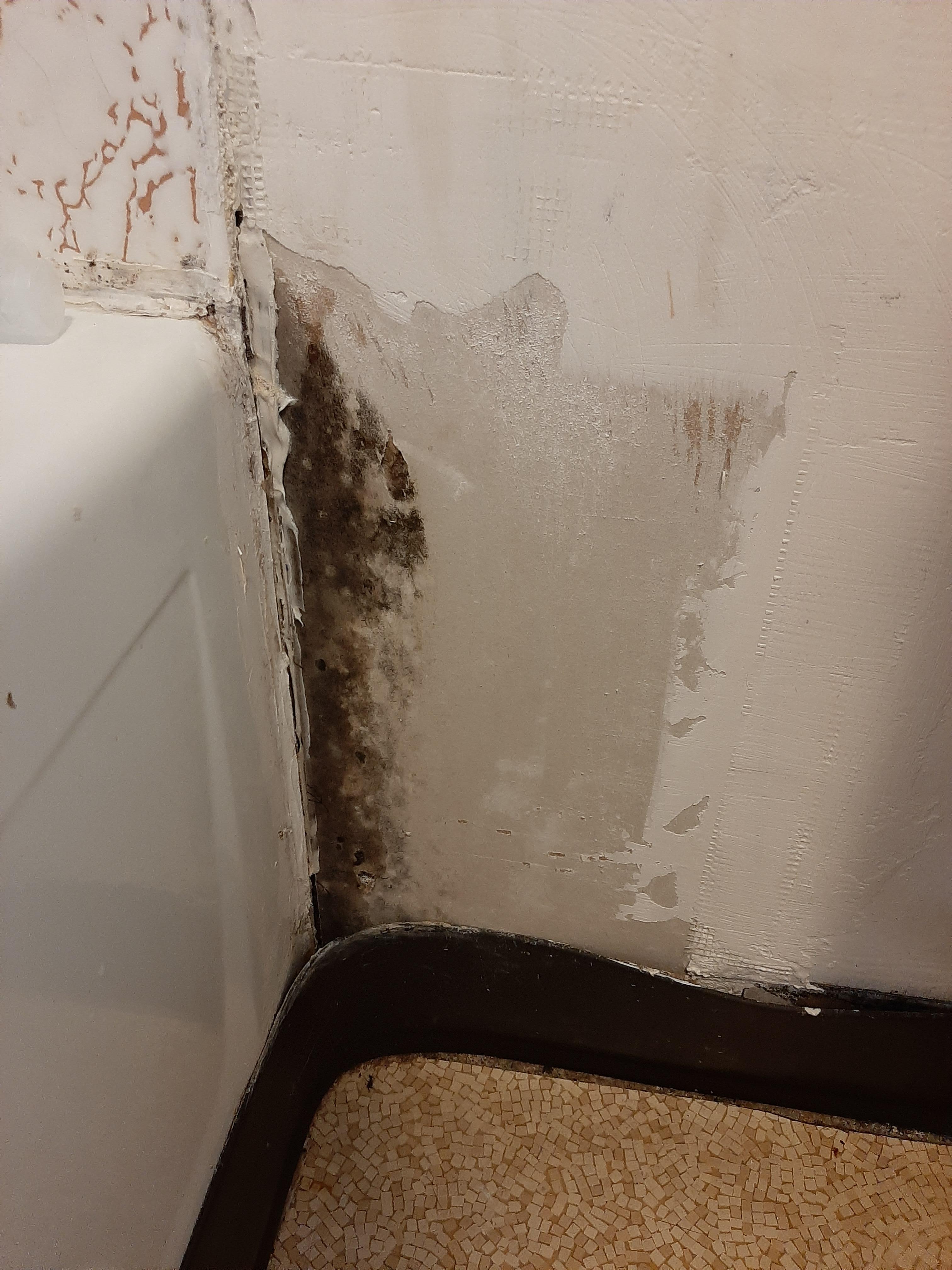 Mold by tub