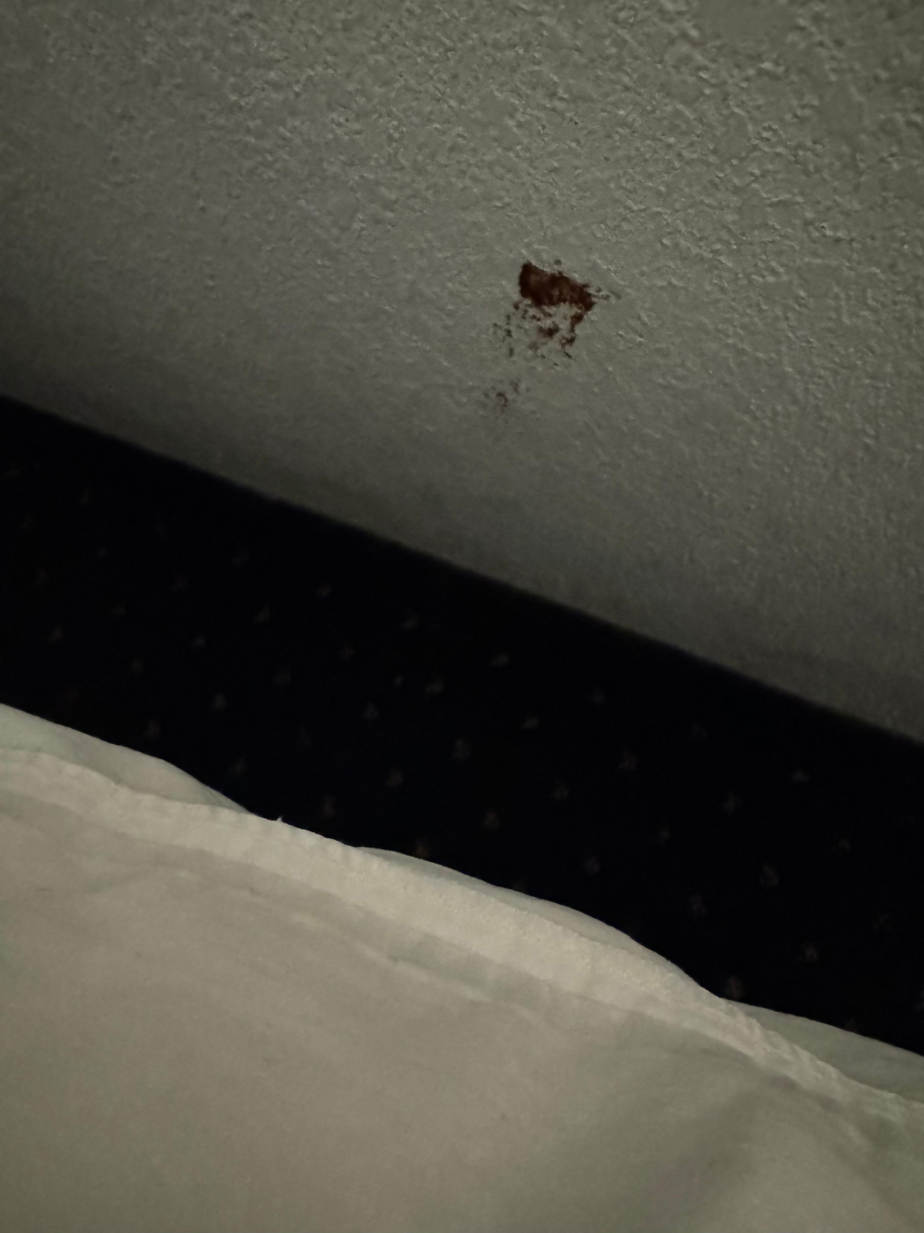 Stains on the wall
