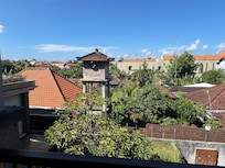 The view