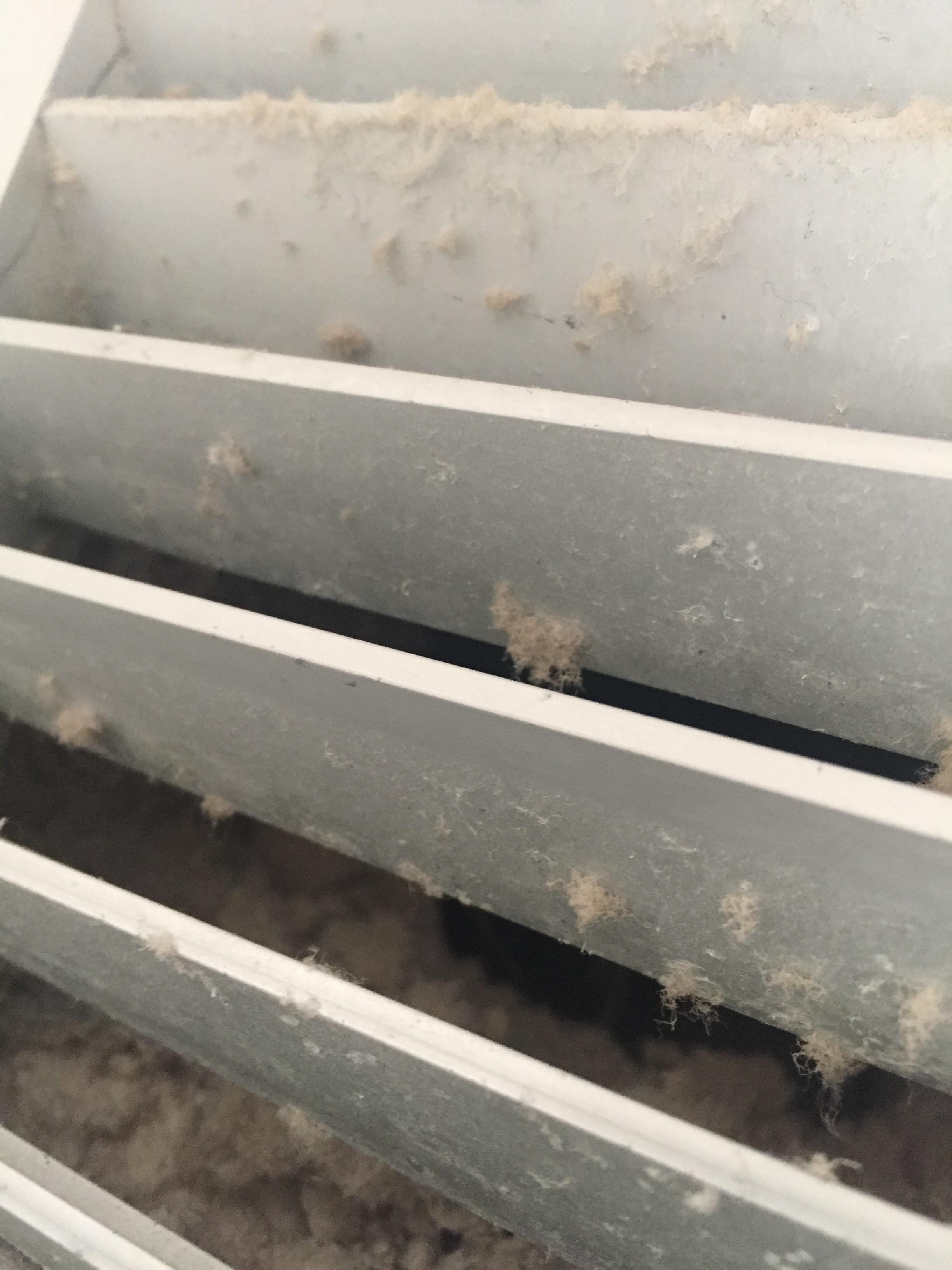 Dust in and around vent