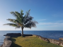 Daytime view from the garden