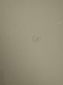 Shower wall