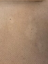Stained carpet