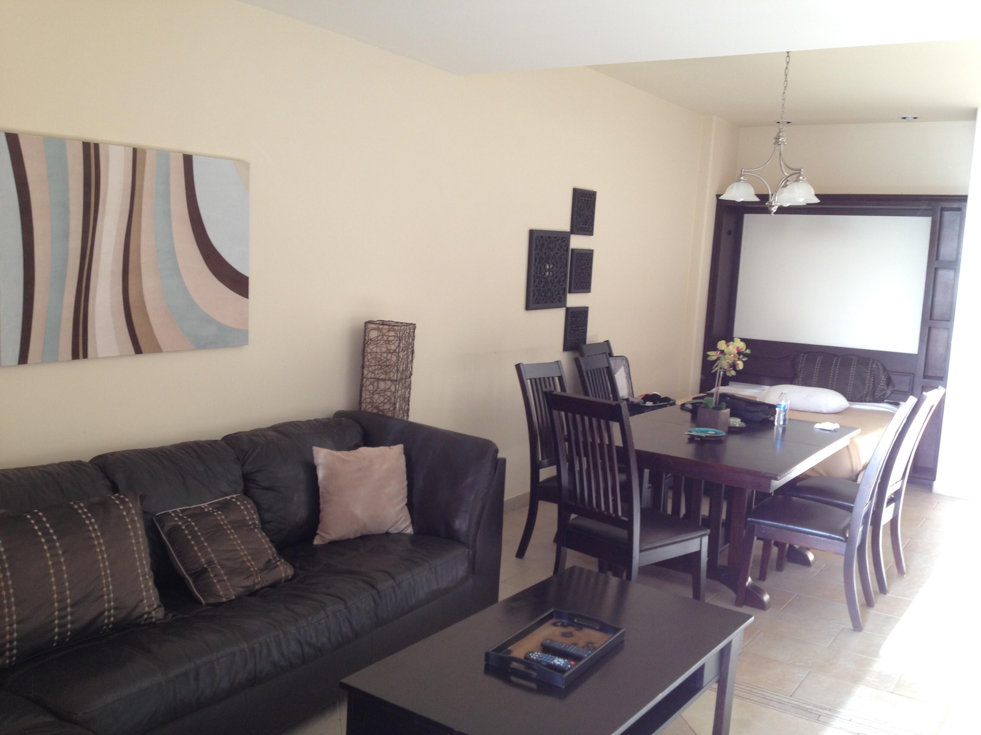 Living room and sofa bed