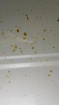 Top of microwave.