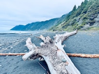 Lost Coast was awesome!
