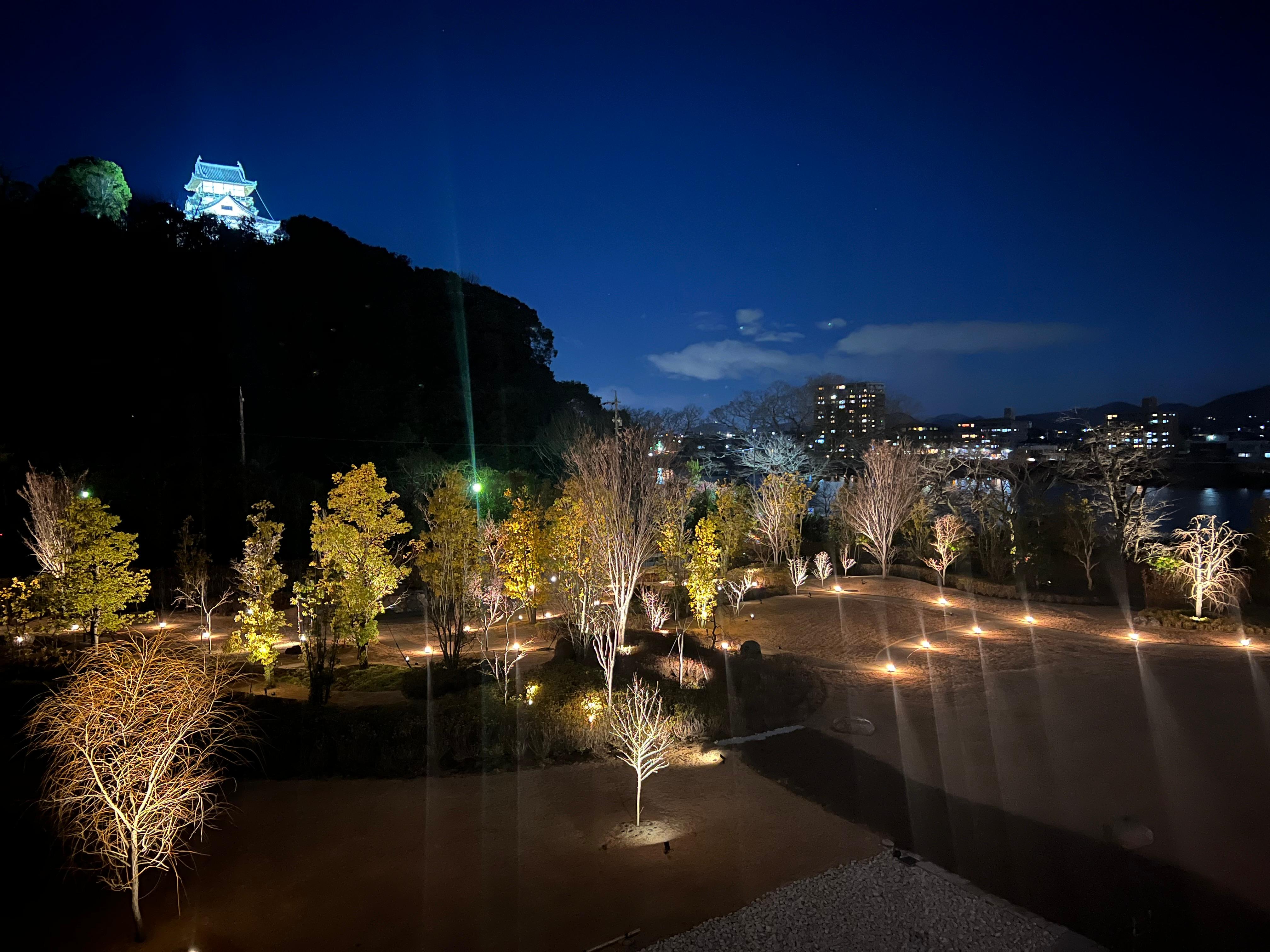 Amazing garden with reflecting pool