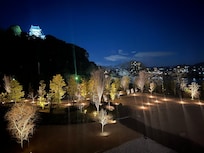 Amazing garden with reflecting pool
