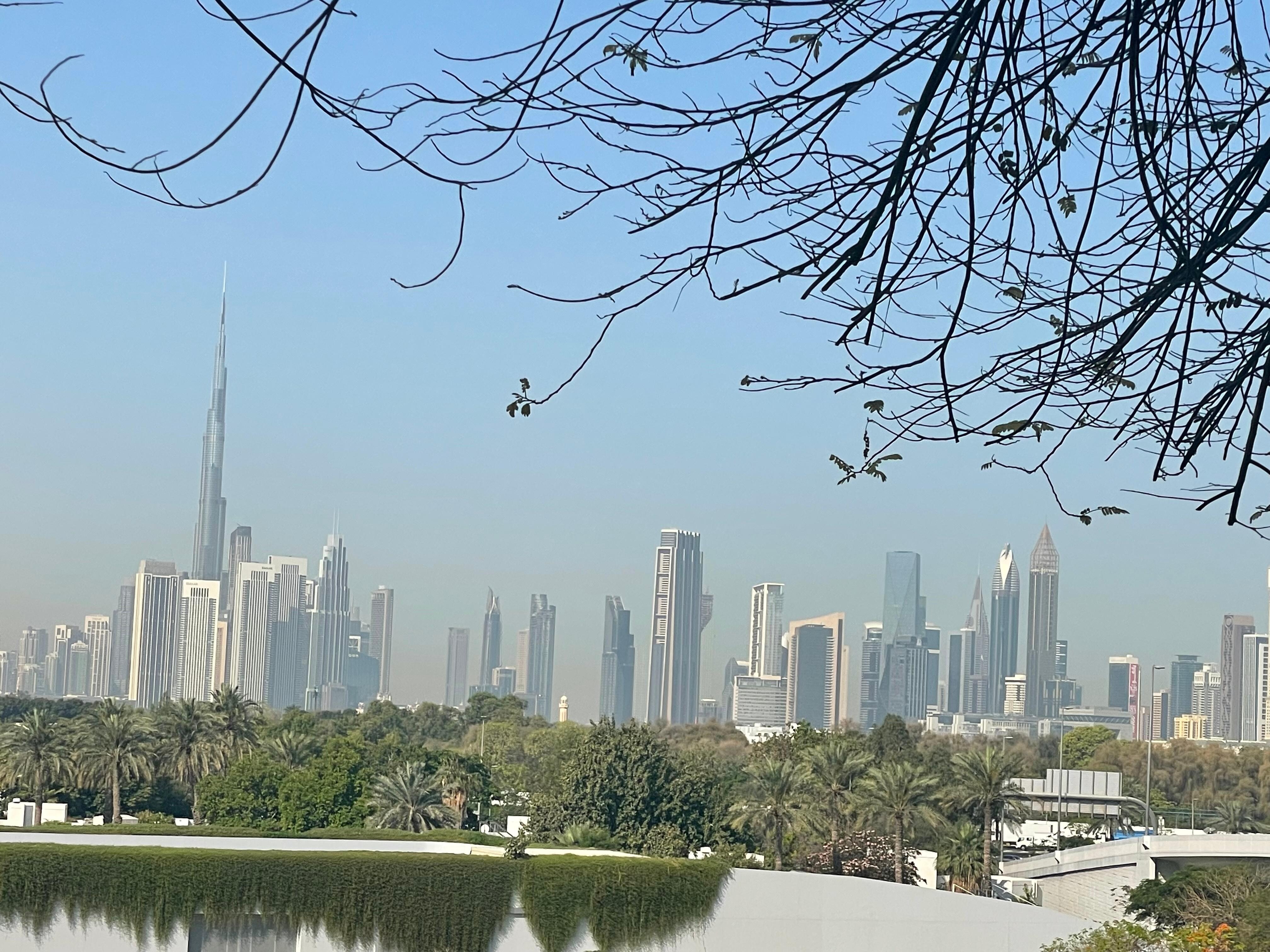 Vue sur la skyline de Dubaï du jardin de l’hôtel