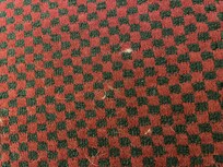 Dog hair on the carpet