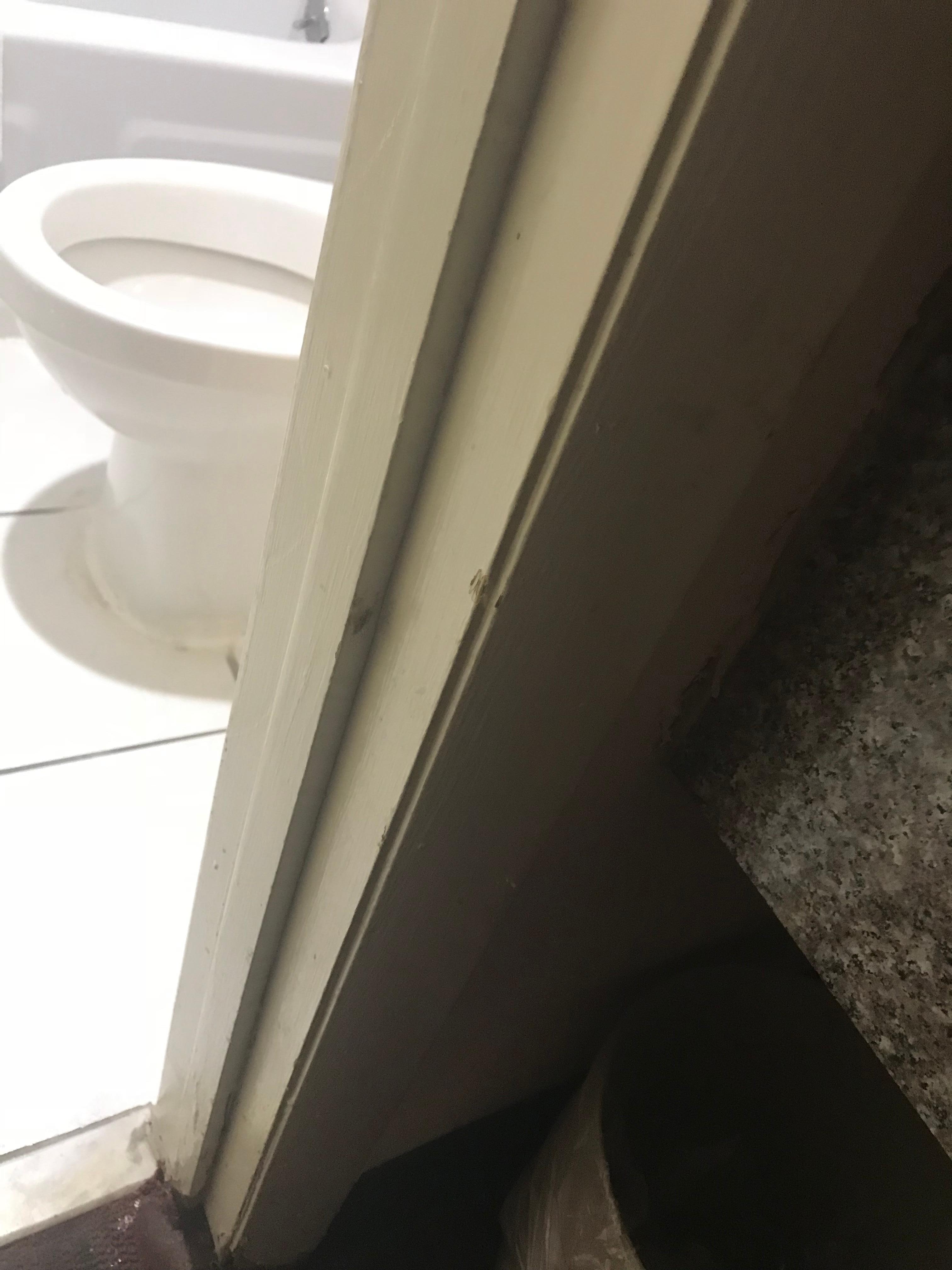 Roach on the door frame