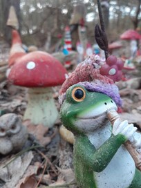 Some "interesting" offerings to the forest gnomes in the Hollumer Bos.