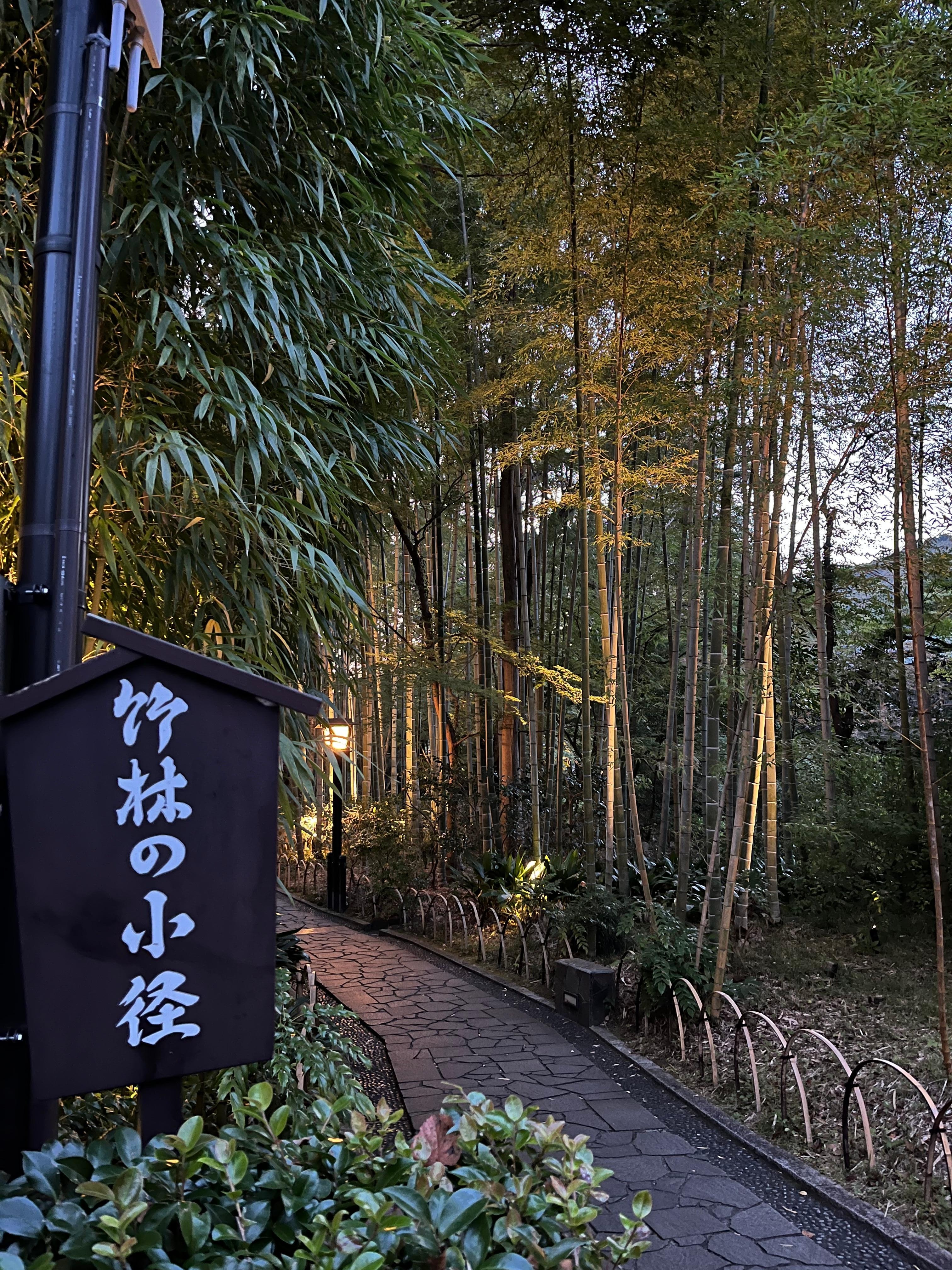 離竹林小徑很近