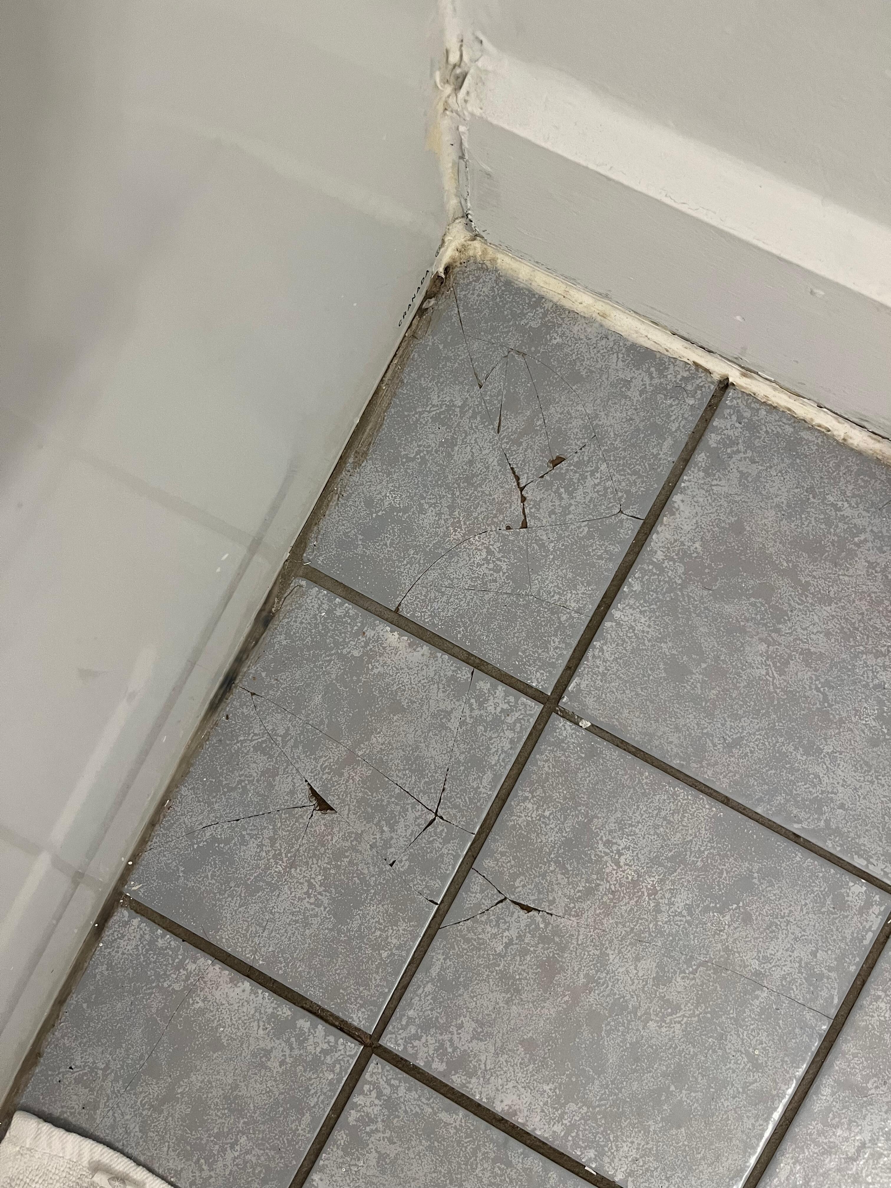 Cracked floor