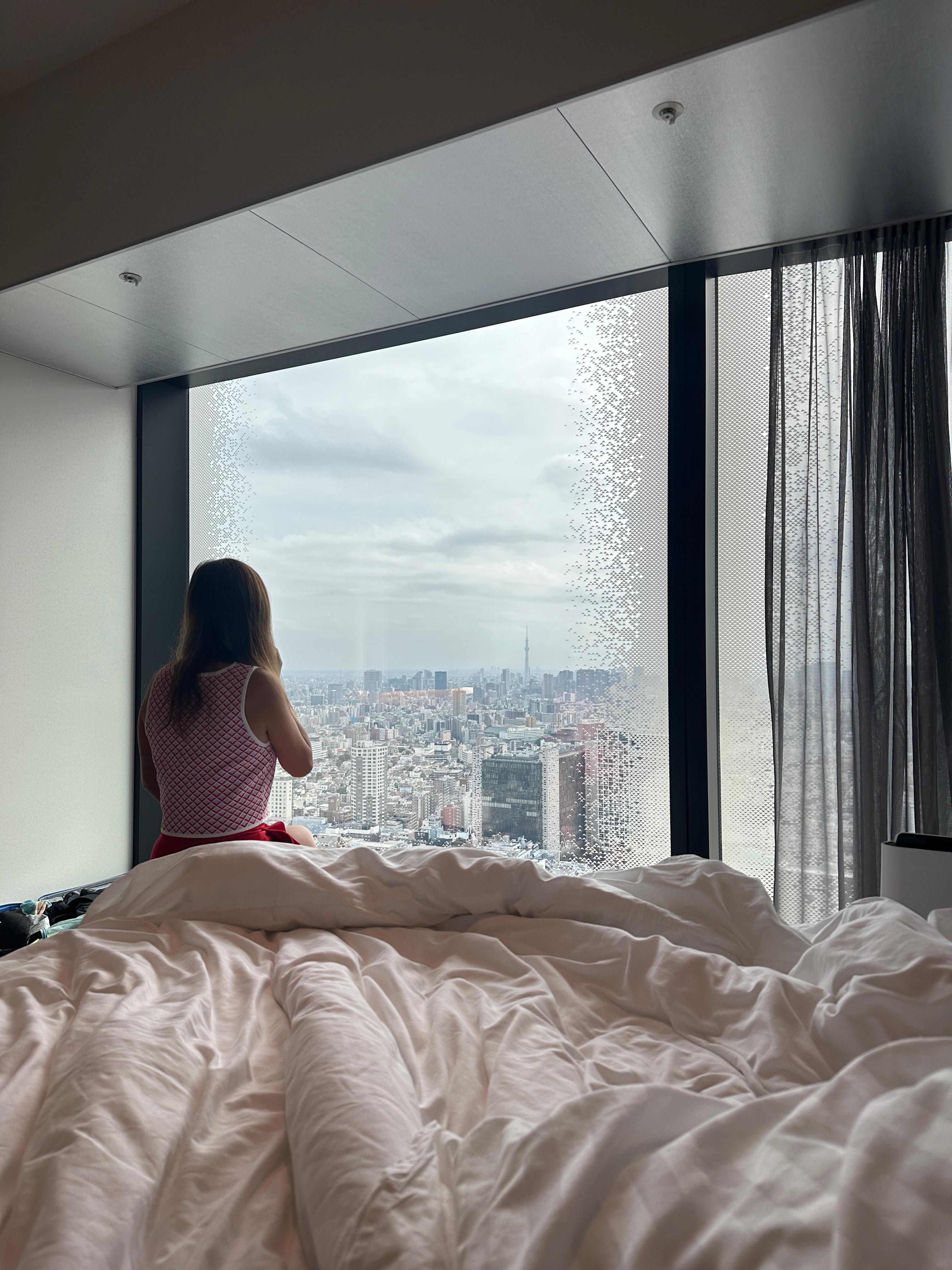 落地玻璃風景