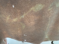Bath towel - holes and washed out