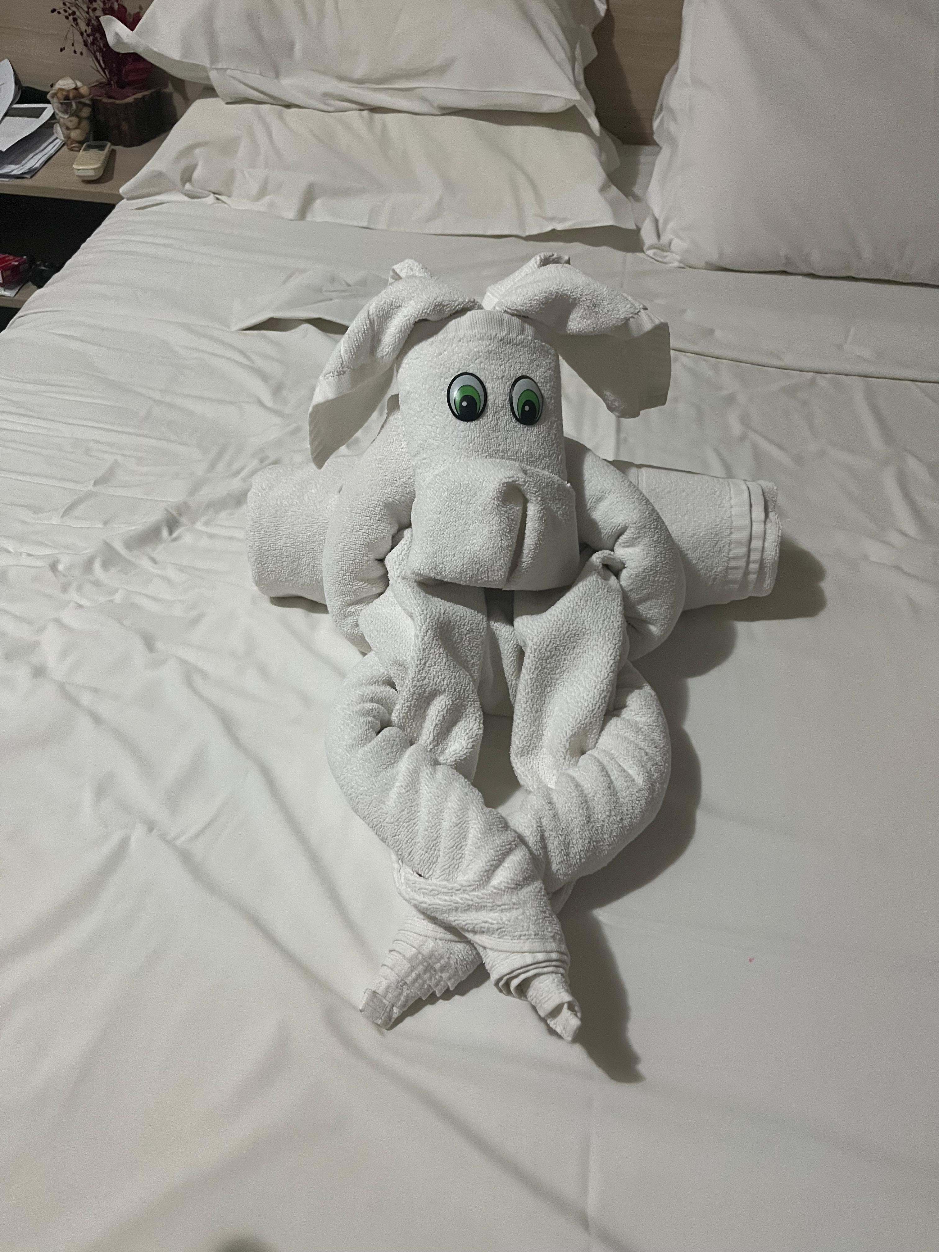 Carinho das camareiras 