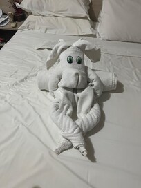 Carinho das camareiras