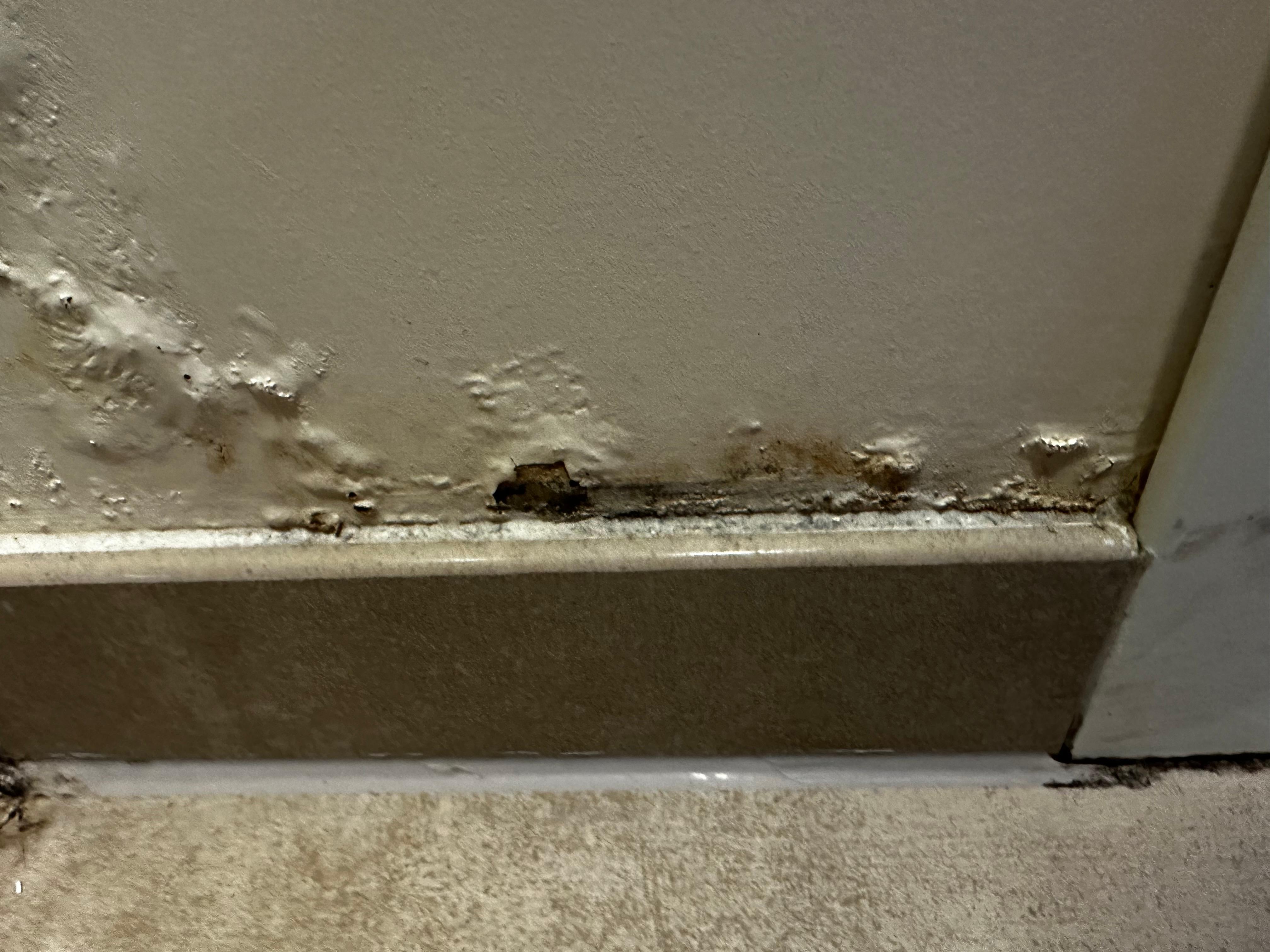 Black mold. Hotel attempted to paint over without addressing problem.