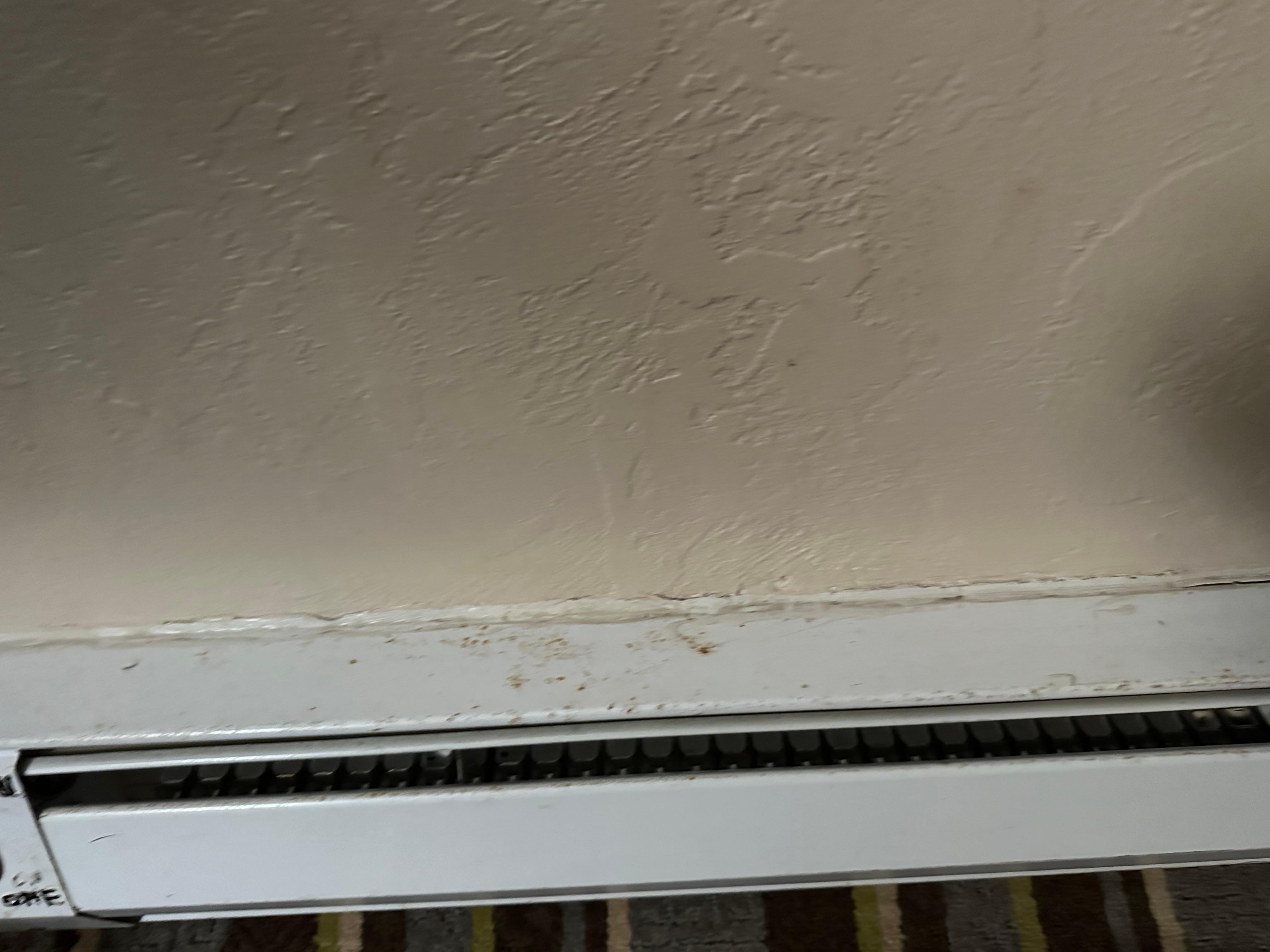 Notice the high efficiency electric baseboard heat… nice and dirty