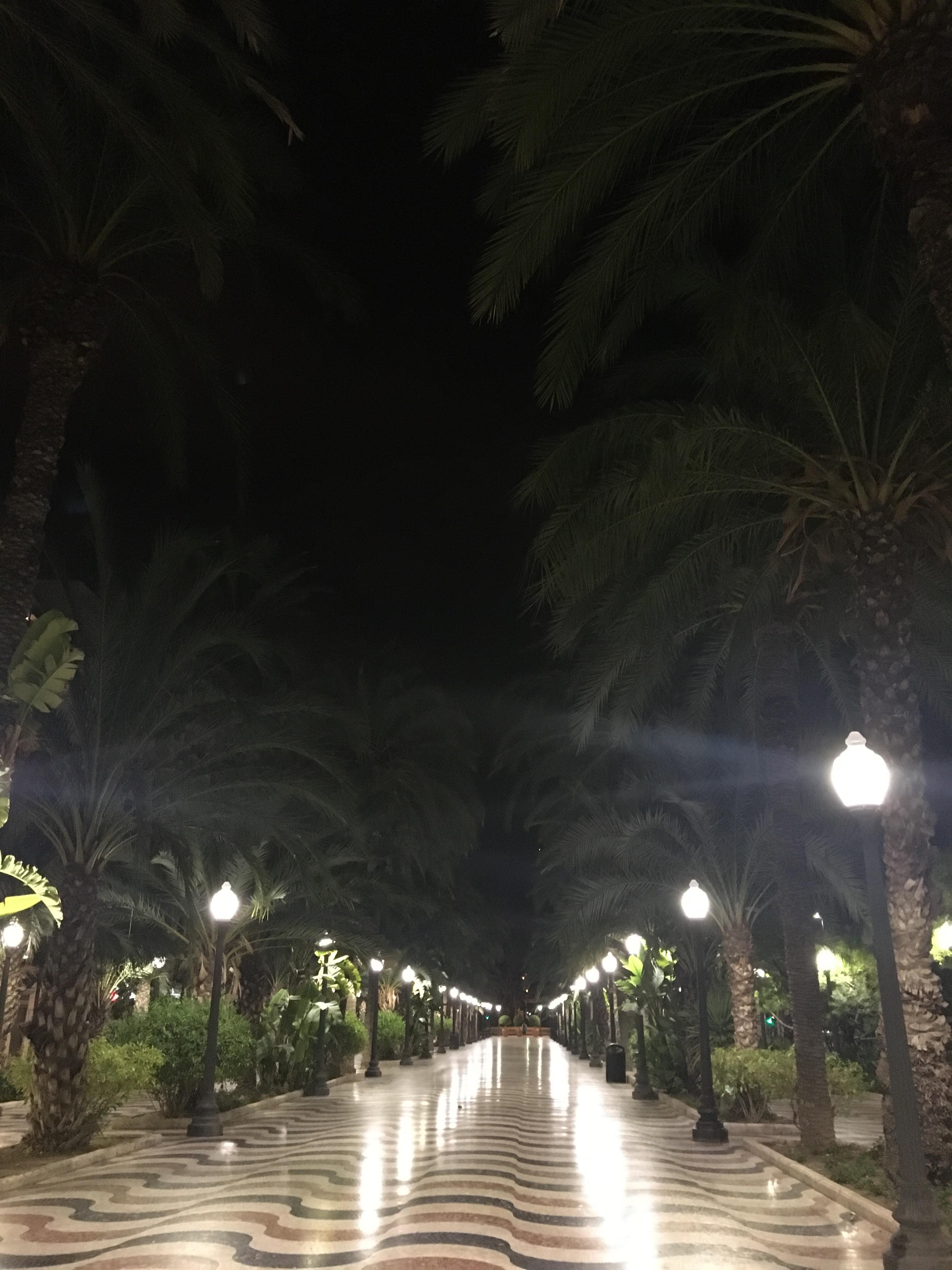 O passeio Explanada da Espanha em Alicante