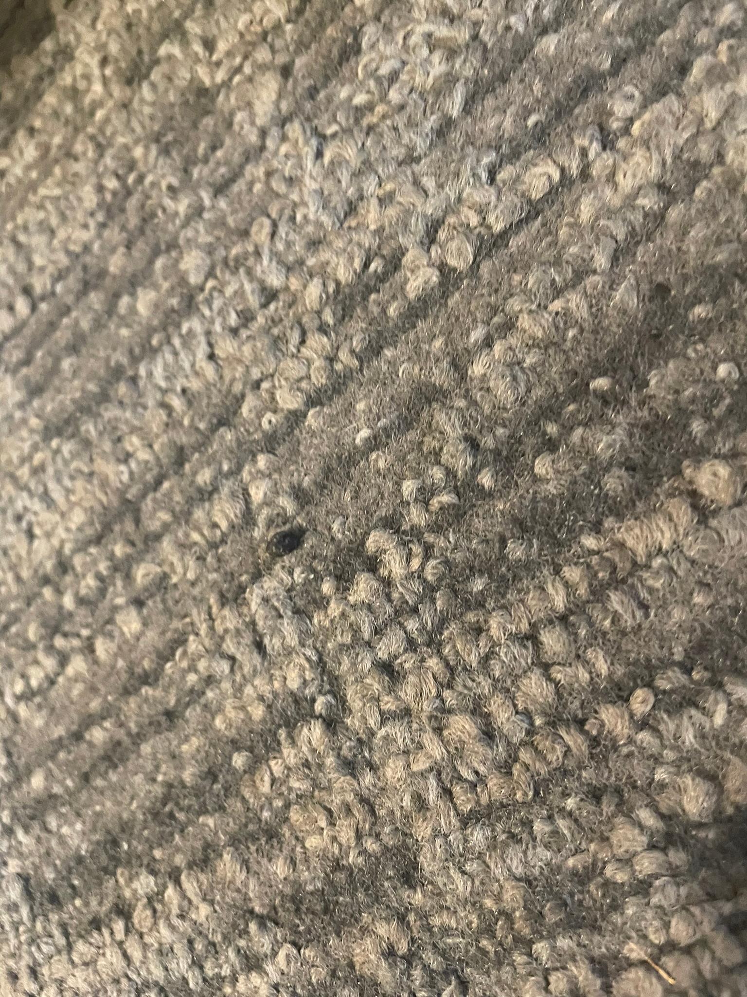 Mouse shit?
