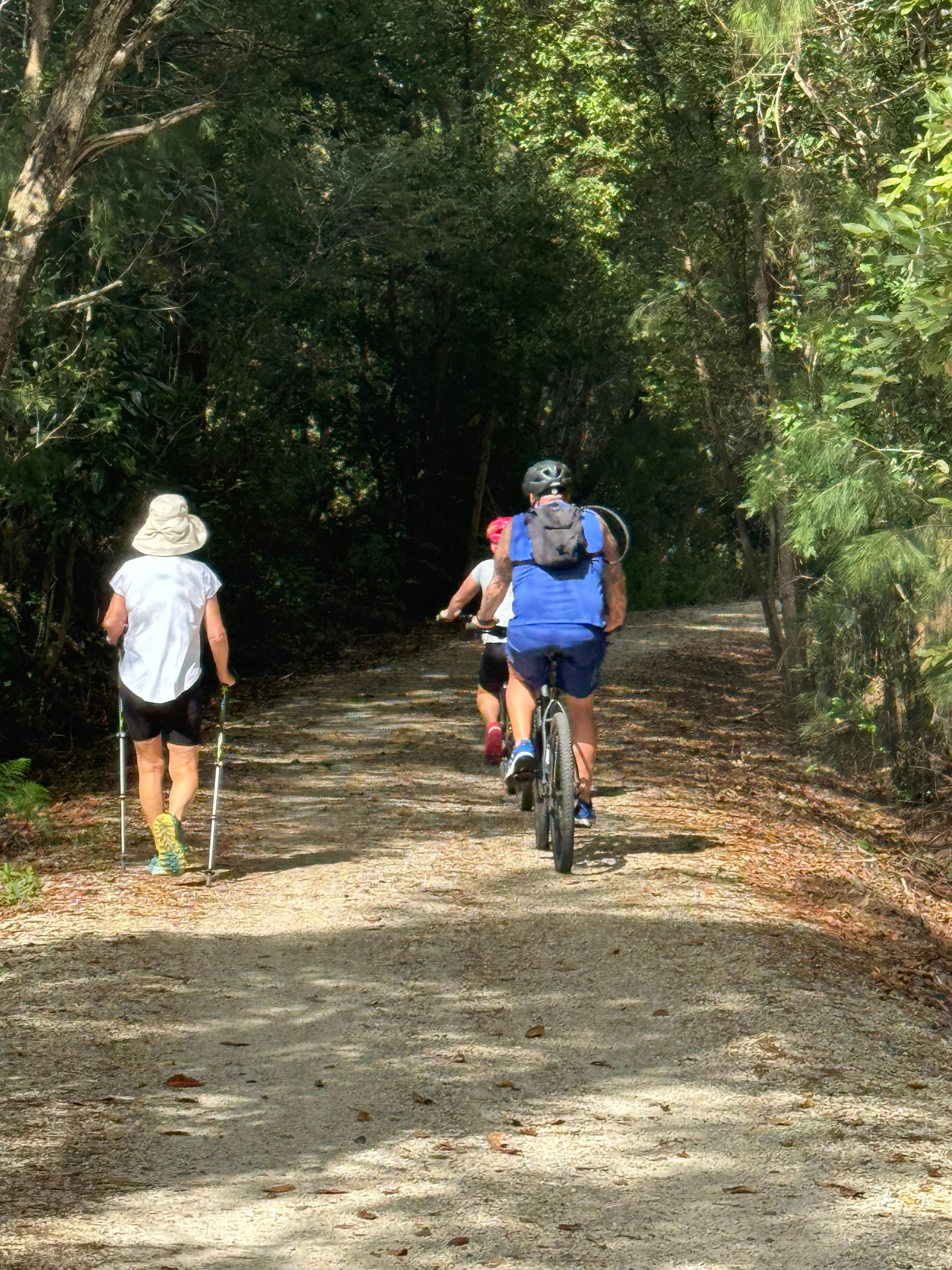 Walk or cycle the Rail Trail