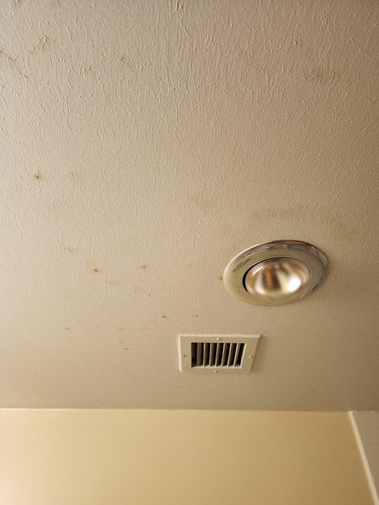 Moldy bathroom ceiling. Staff claims, "it's just a condensation from  smoking" in a non-smoker room.