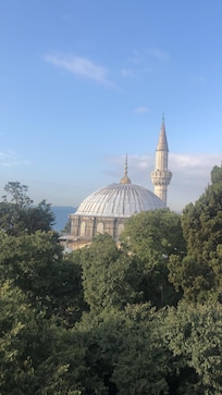 Вид из окна днём (4 этаж)