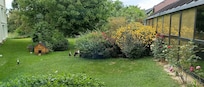 Le jardin (non accessible)