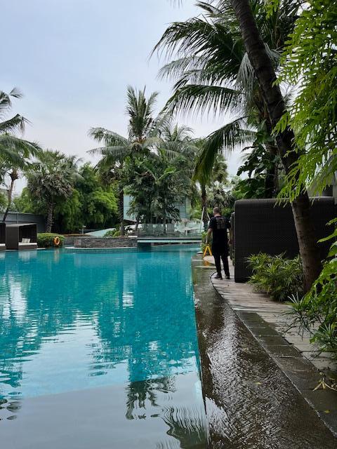 pool view 