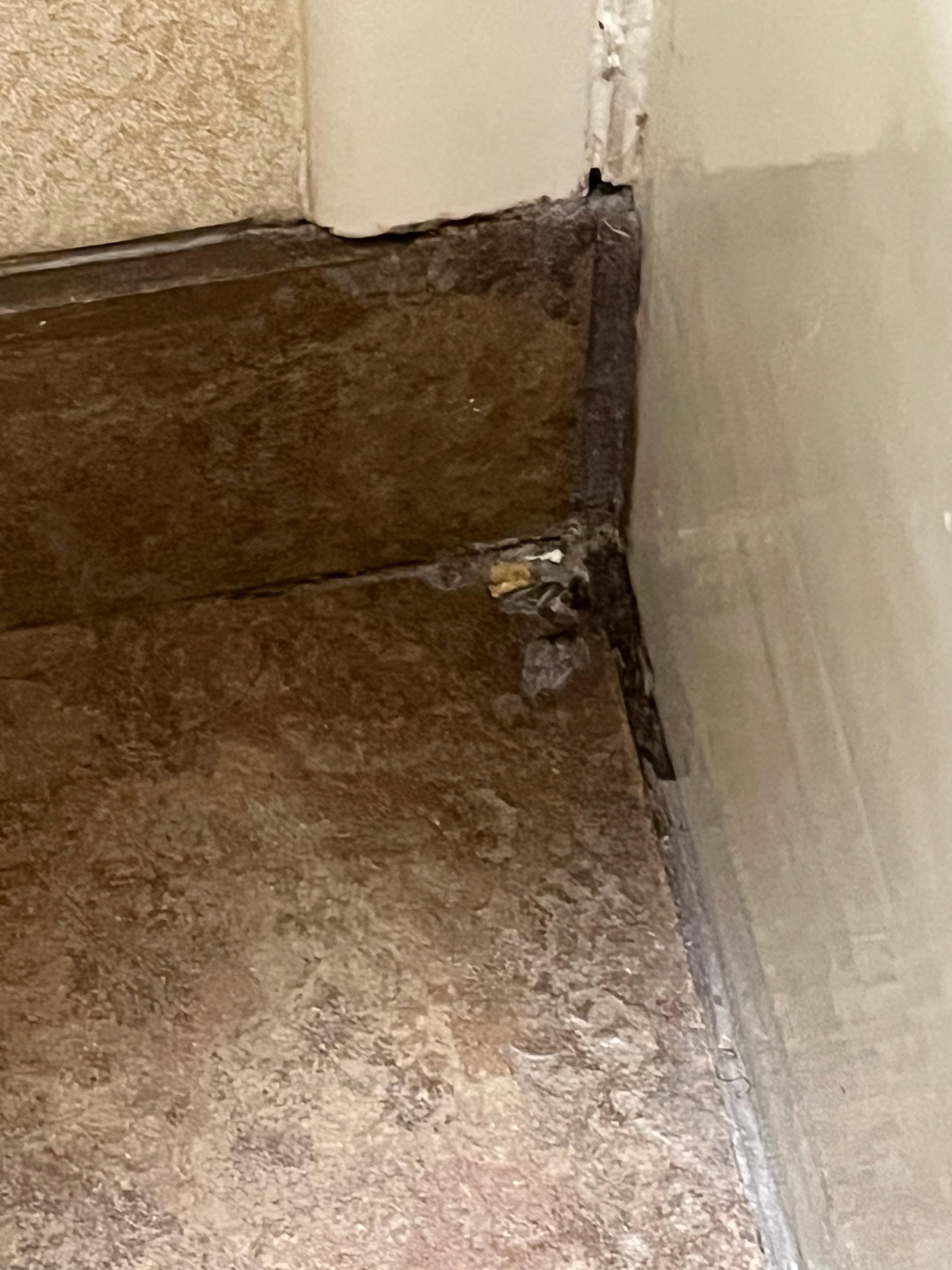 Bathroom floor 