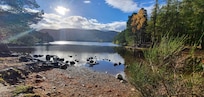 Rothiemurchus