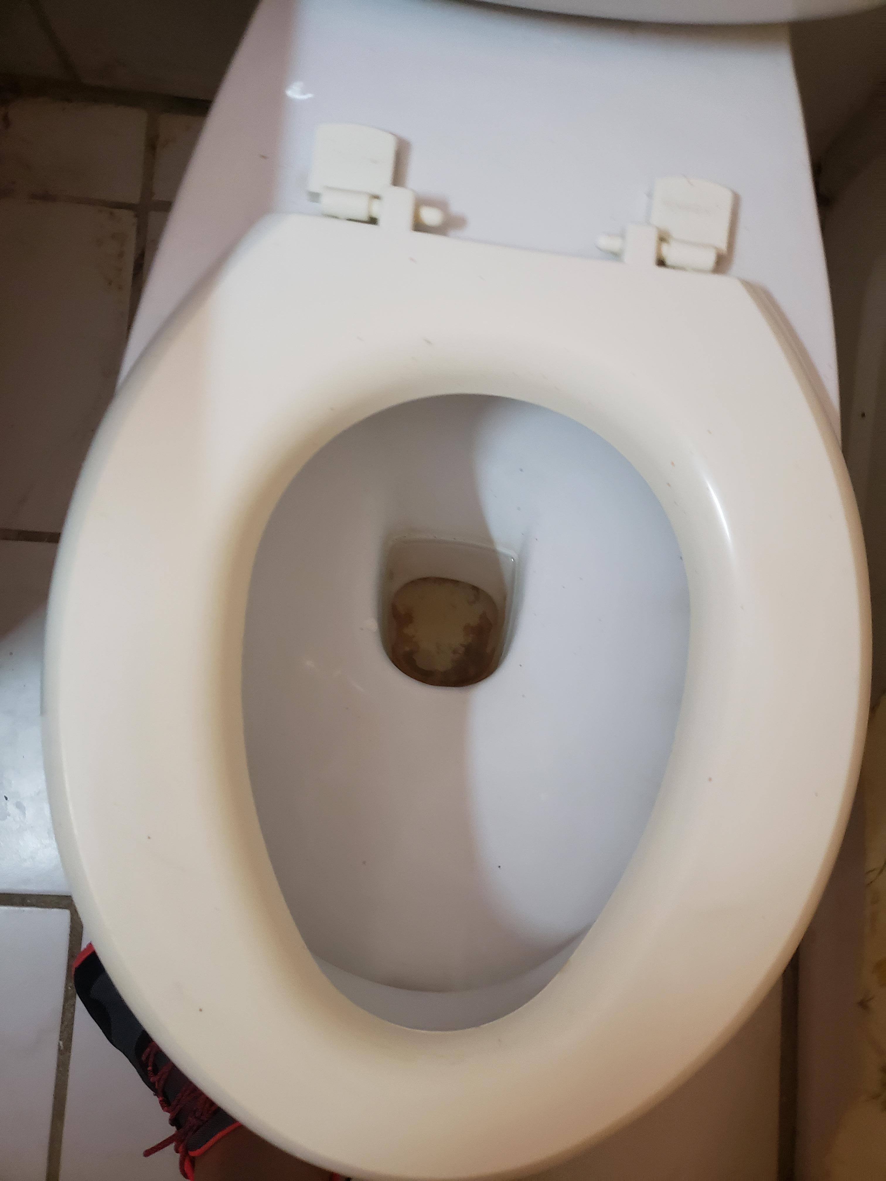 Filthy toilet