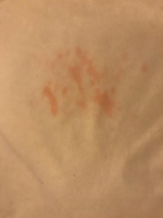 Sheet