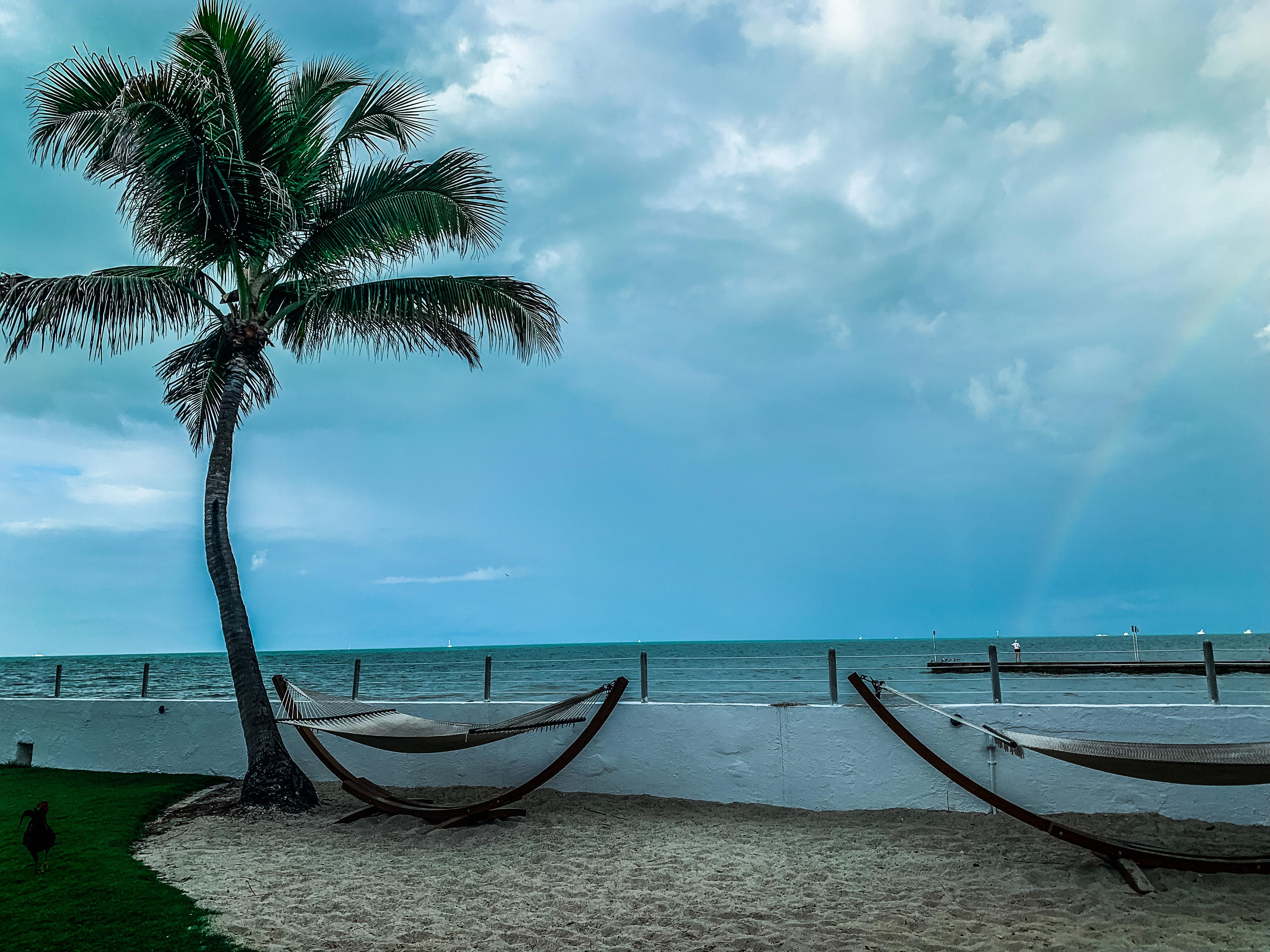 The grounds at Southernmost.