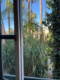 Vista desde mi habitación